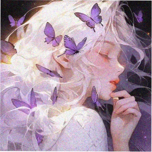 读者拾光的头像